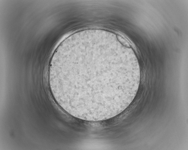 X0000115390911200912151457