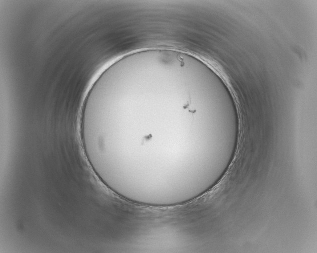 X0000115390912200912151457