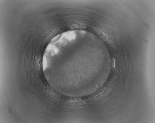 X0000115390915200912151456