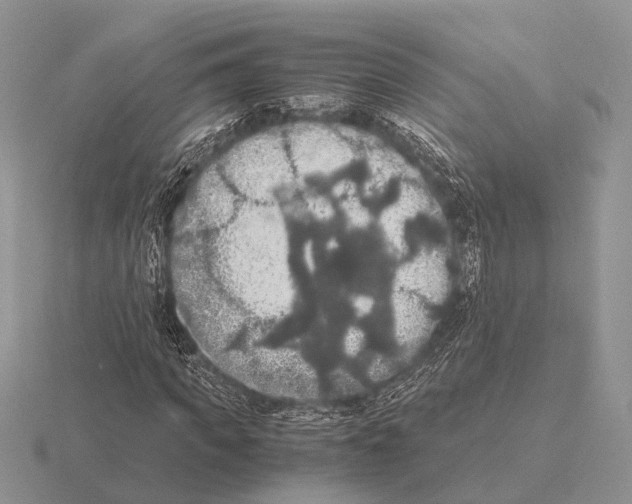 X0000115390917200912151456