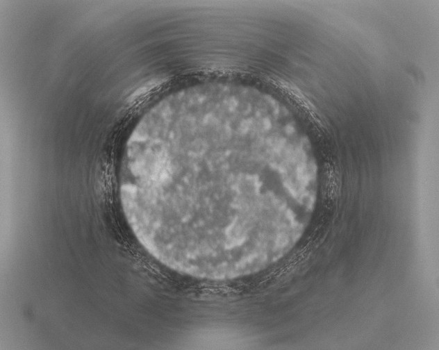 X0000115390918200912151456