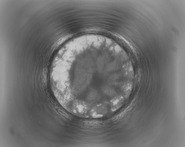 X0000115390921200912151457