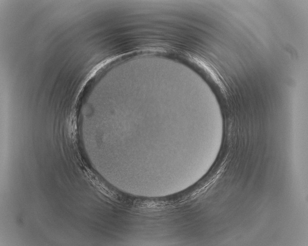 X0000115390923200912151457