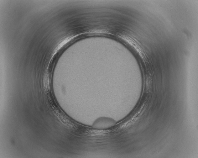 X0000115390925200912151457