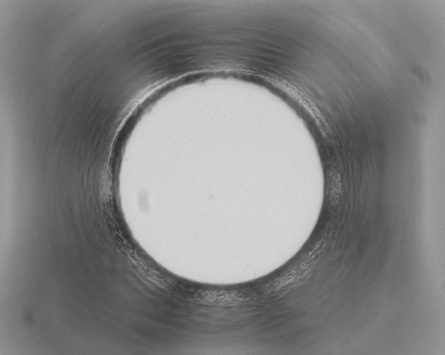 X0000115390927200912151457