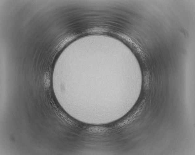 X0000115390929200912151457