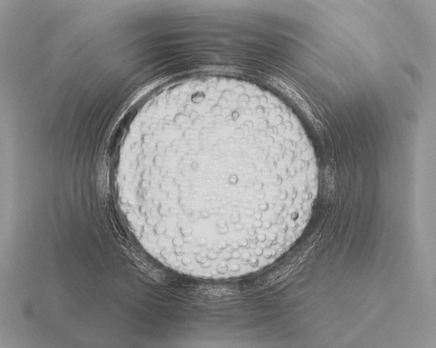 X0000115390931200912151457