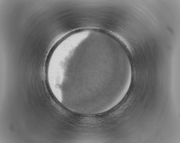 X0000115390935200912151457