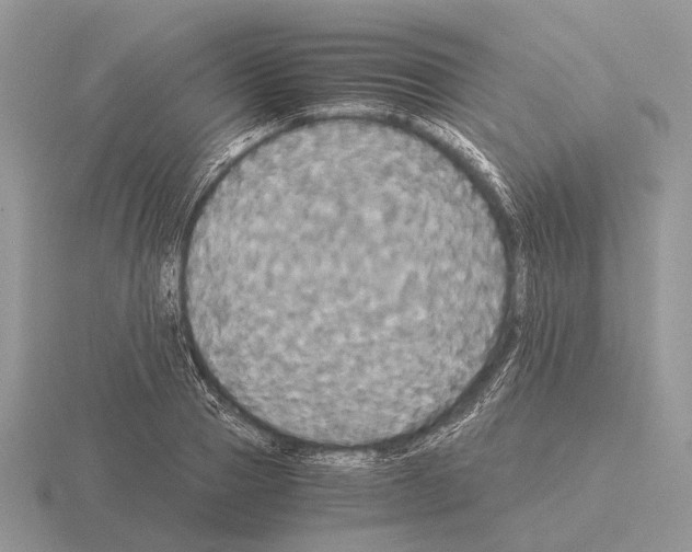 X0000115390937200912151457