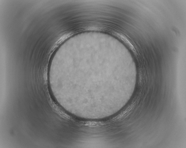 X0000115390938200912151457