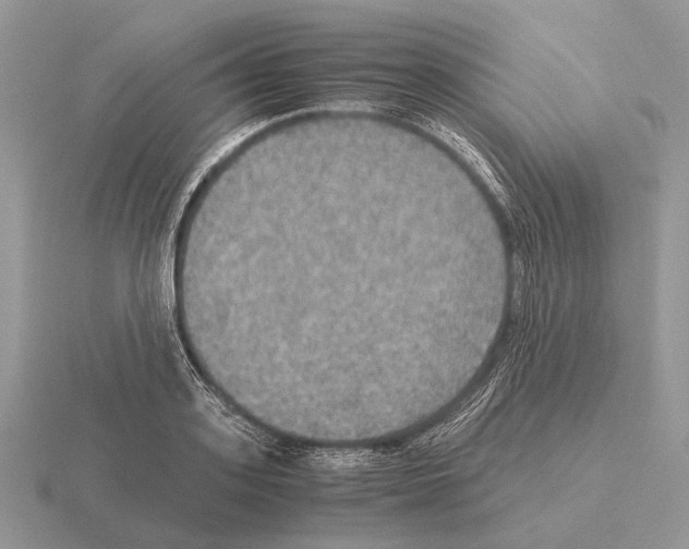 X0000115390939200912151457