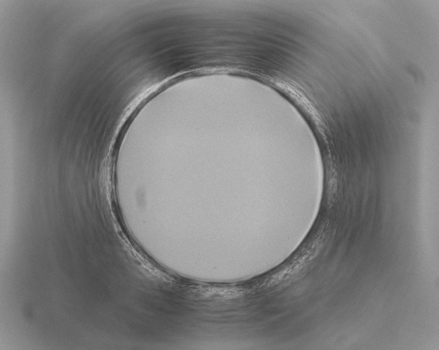 X0000115390941200912151457