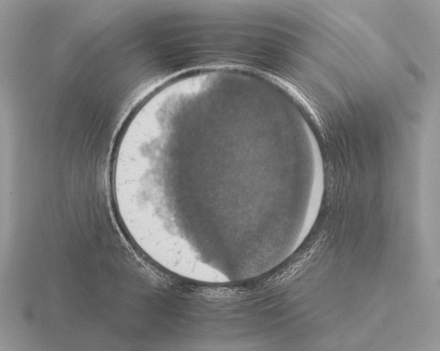 X0000115390943200912151457