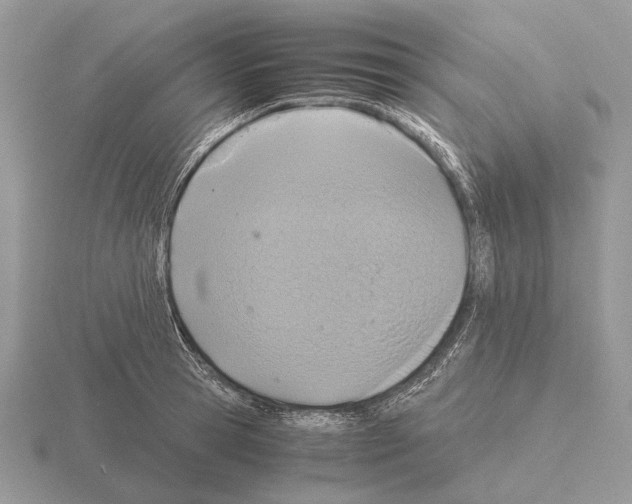 X0000115390945200912151457