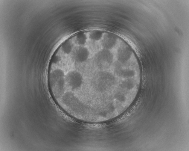 X0000115390949200912151457