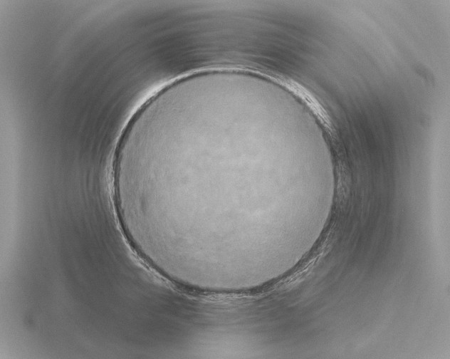 X0000115390950200912151457