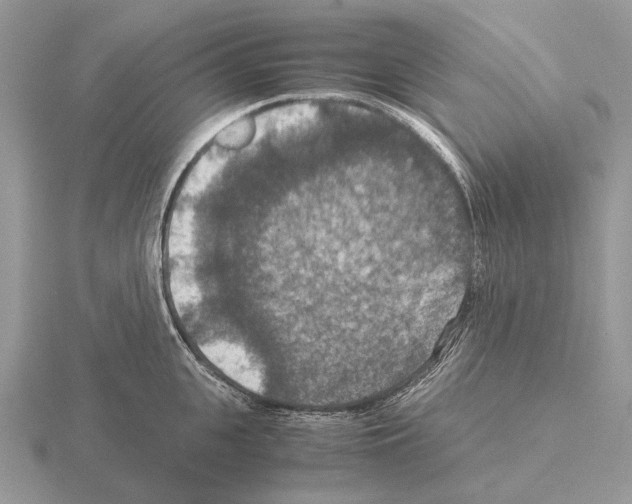 X0000115390951200912151457