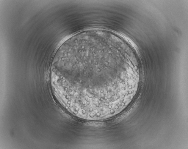 X0000115390953200912151457