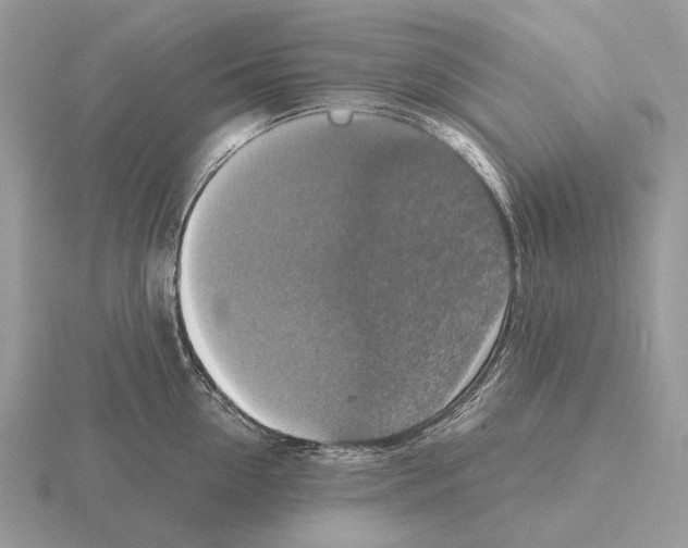 X0000115390954200912151457