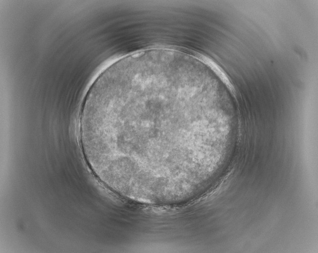 X0000115390955200912151457