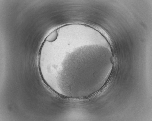 X0000115390958200912151457