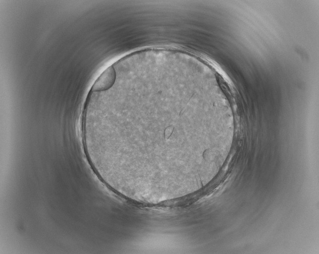 X0000115390959200912151457