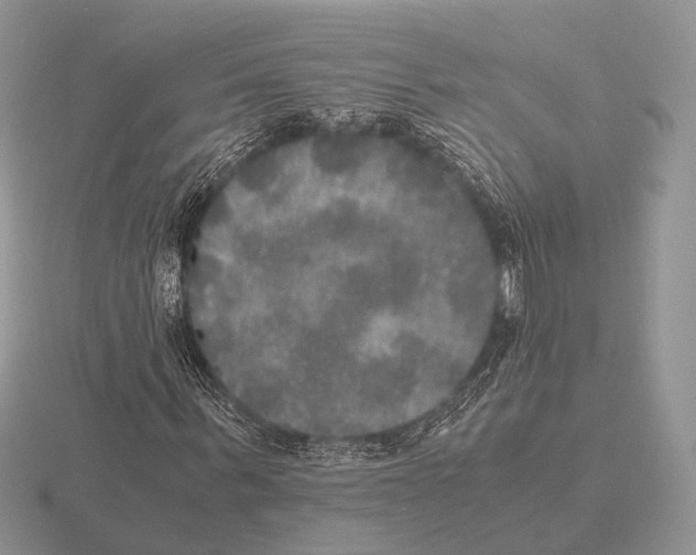 X0000115390963200912151456