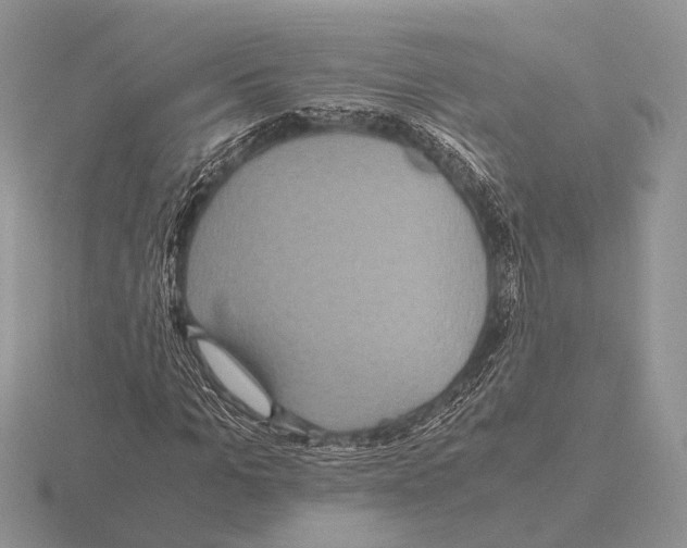 X0000115390965200912151456