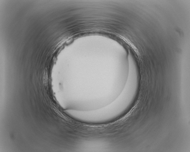 X0000115390969200912151456