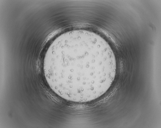 X0000115390970200912151456