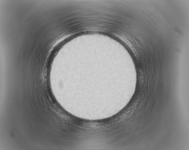 X0000115390971200912151456