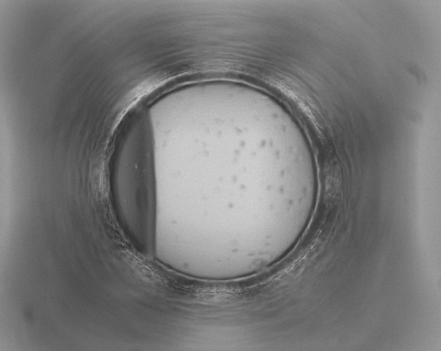 X0000115390973200912151456