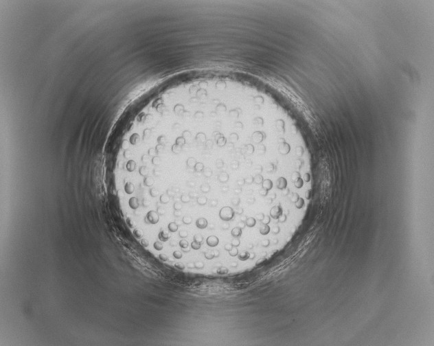 X0000115390974200912151456