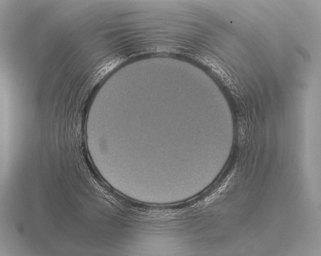 X0000115390977200912151456