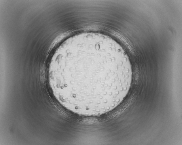 X0000115390978200912151456