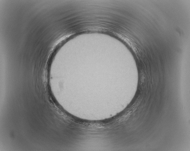 X0000115390979200912151456