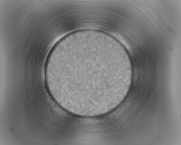 X0000115390980200912151456