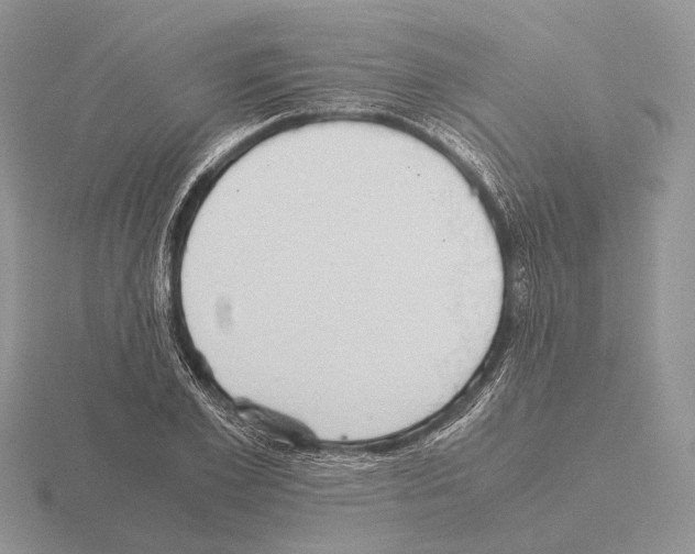 X0000115390981200912151456