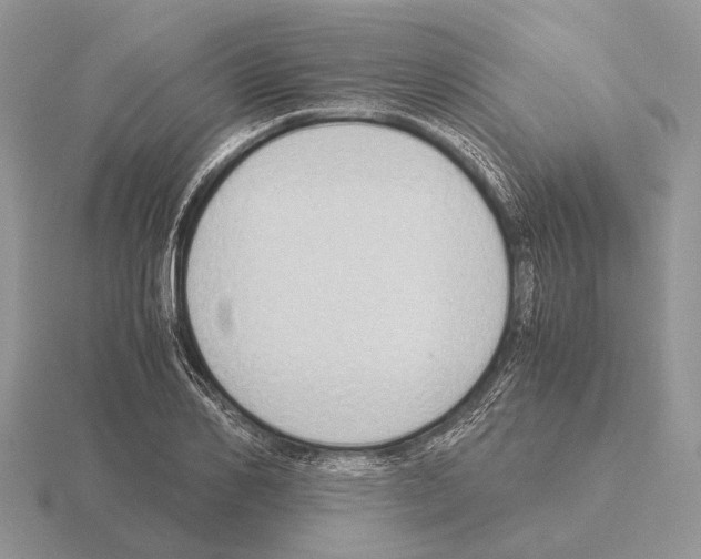 X0000115390982200912151456