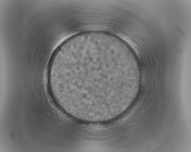 X0000115390983200912151456