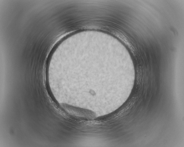 X0000115390984200912151456