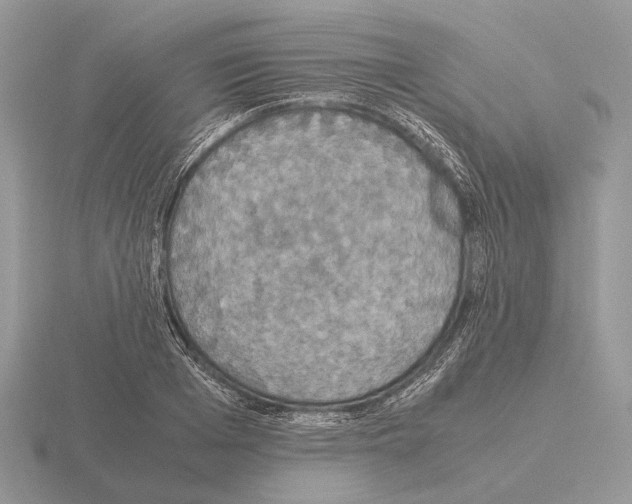 X0000115390985200912151456