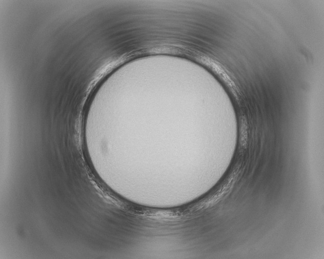 X0000115390986200912151456