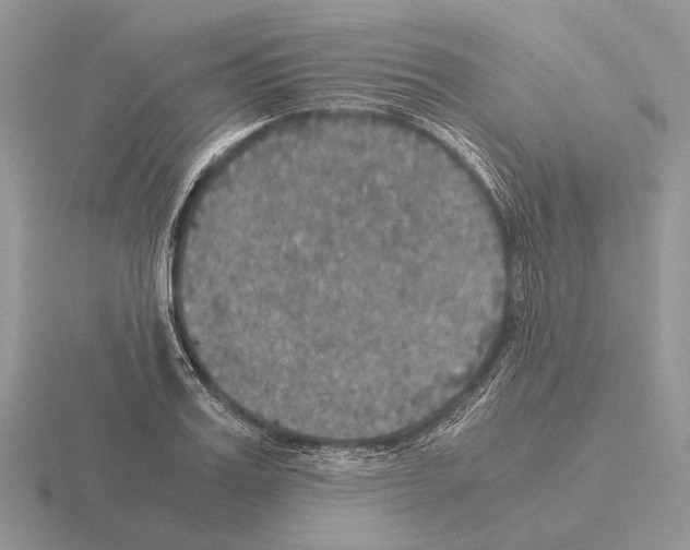 X0000115390987200912151456