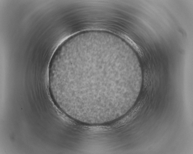 X0000115390988200912151456