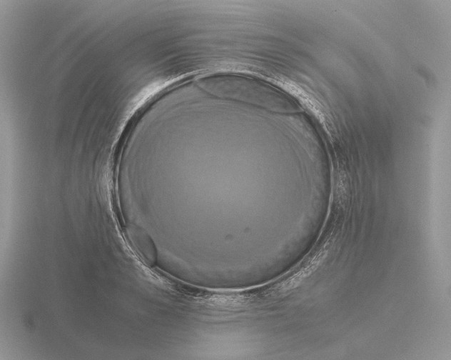 X0000115390989200912151456