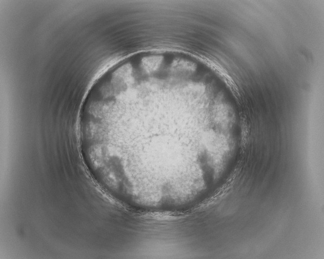 X0000115390990200912151456