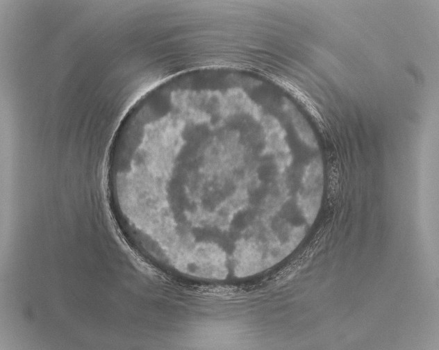 X0000115390991200912151456