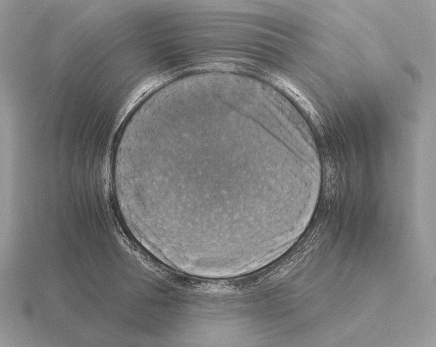 X0000115390994200912151456