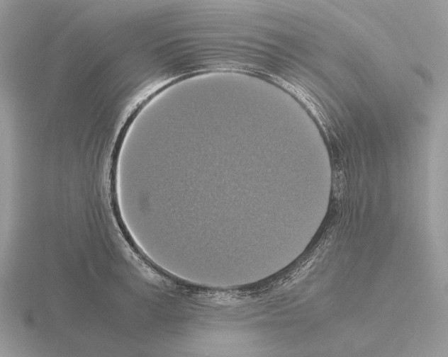 X0000115390995200912151456